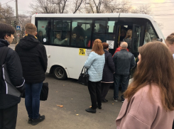 Шесть воронежских автобусов начнут ездить по-другому