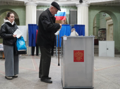 Менее 90 дней остается до старта избирательной кампании в Воронежской области 