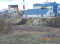 Воняющий «Кристалл» отдаст более 4 млн рублей за вред экологии в Воронежской области