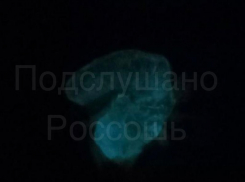 Загадочное свечение креветки обнаружили в еде жители Воронежской области