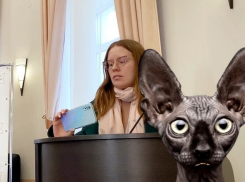 «Кот Костян» поздравил избирателей райсовета в Воронежской области с демаршем «комсомолки» Беляевой