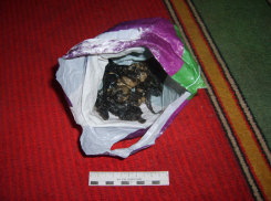 В Воронеже семья иностранцев-нелегалов с ребенком торговала героином