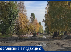 Полностью непроходимую улицу нашли в Воронеже