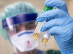 Коронавирус нашли еще в одном регионе по соседству с Воронежем