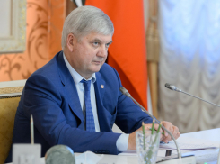 Воронежскую достопримечательность хотят внести в сто самых посещаемых мест России