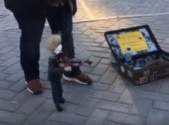 Скрипач-марионетка собирает деньги на гречку и туалетную бумагу в Воронеже