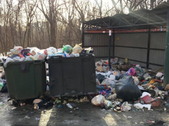 Мусорная свалка создала для водителей аварийную ситуацию в Воронеже