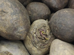 Какие продукты значительно подорожали в Воронежской области за месяц