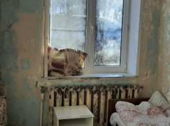 В разрухе в воронежской больнице нет ни виноватых, ни «спасателей»