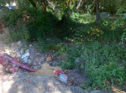 В Воронеже обнаружено место для перелома ног пешеходов