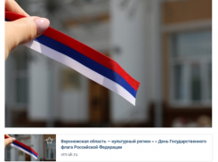 Воронежский департамент культуры удалил пост с перевернутым российским флагом 