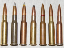 В Богучарском районе мужчина хранил дома боеприпасы