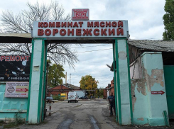 Жилой квартал появится на месте заброшенного мясокомбината в Воронеже