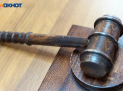 Вынесен приговор по резонансному делу о мошенничестве с маткапиталом в Воронеже