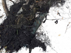 Воронежцам показали «монстра», из-за которого затопило фекалиями улицу Землячки 