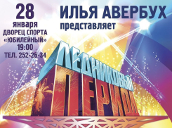 Воронеж готовится принять королей льда