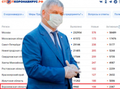 Несовпадение федеральной и региональной статистики по коронавирусу объяснили в воронежском правительстве
