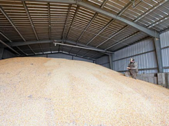 В Воронежской области пенсионер с сыном хотели украсть зерно со склада