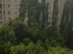 Августовский снег сняли на видео в Воронеже