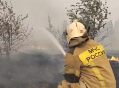 Ландшафтный пожар на 120 гектаров в Воронежской области удалось потушить глубокой ночью