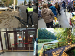 Коронавирус в Воронеже 18 октября: смерть 6 человек, рейд по маскам и открытие экотроп