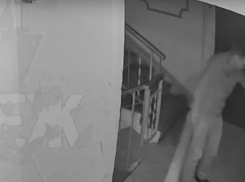Незваный гость попал на видео в воронежской многоэтажке