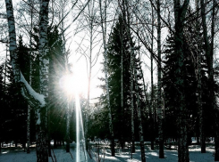 Воронежцев на рабочей неделе ждут осадки и тепло  