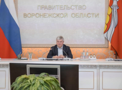 Что сейчас делается по нацпроектам в Воронежской области, доложили Александру Гусеву