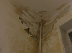 Жуткие палаты воронежской больницы №2 пообещали отремонтировать до конца года