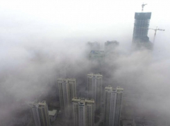 Greenpeace рассказали, где в Воронеже самый грязный воздух