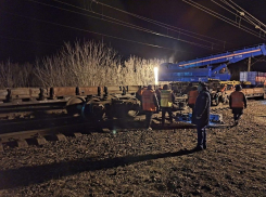 Два грузовых вагона-платформы сошли с путей на воронежской станции Копанище 