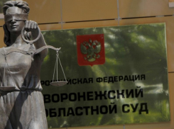 Расследование кражи 4 млн из воронежского храма пустили по второму кругу