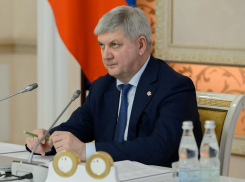 Воронежские чиновники насчитали 7% трудящихся, наиболее пострадавших от кризиса