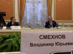 Губернатор Гусев прокомментировал предательство со стороны воронежских «укашек» 