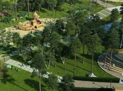 В Воронеже пройдет экологический фестиваль движения Вантит