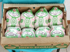 Воронежские экозащитники попросили Министра природных ресурсов проверить деятельность птицефабрики