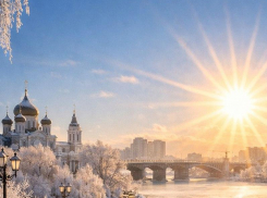 Неделя сибирских температур: что ждёт воронежцев перед Новым годом?