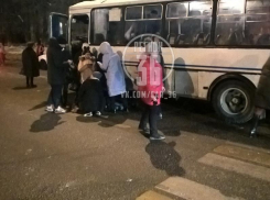 О состоянии сбитой автобусом девочки сообщили полицейские в Воронеже