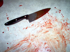 В Воронеже 19-летний брат жены порезал её взрослого мужа