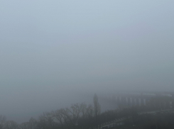 Густой туман накрыл Воронеж: метеоцентр объявил желтый уровень опасности