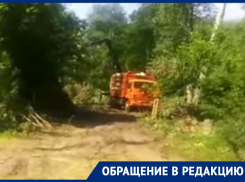  Повальную вырубку леса сняли на видео в Воронеже