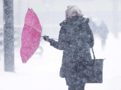 Страшная метель окутает ночью Воронеж 