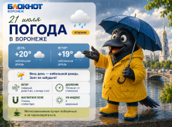 Лето ушло за хлебом: прогноз на ближайшие дни в Воронеже 