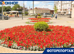 Цветы за 22 миллиона: как бюджетные деньги превращают в клумбы в Воронеже