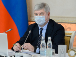 О чем говорил и что обещал Александр Гусев в Борисоглебске 