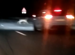 Четырехногое нечто попало на видео под Воронежем