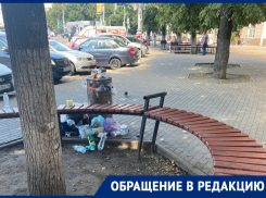 Помойный нюанс у вокзала «Воронеж-1» нервирует горожан и позорит нас перед гостями 
