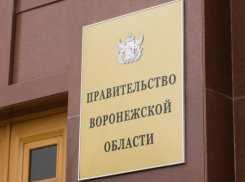 Какой департамент Воронежской области больше всего песочат наши читатели 