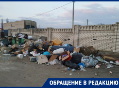Огромная помойка стала местом притяжения бродячих псов в Воронеже