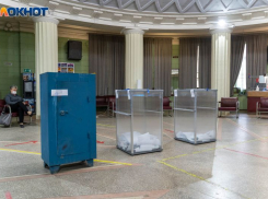 Социологи узнали уровень доверия к Владимиру Путину и планы воронежцев пойти на выборы президента